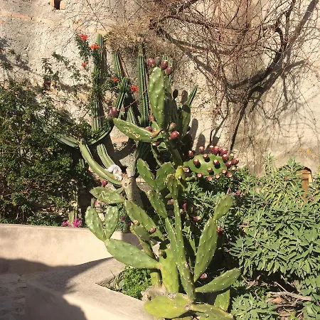 Il Girasole 3* Bova Marina