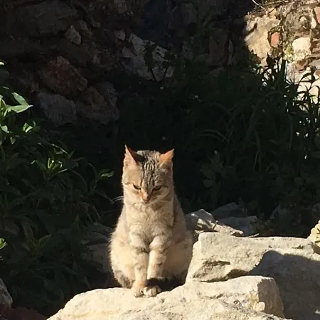 호텔 Il Girasole 보바 마리나