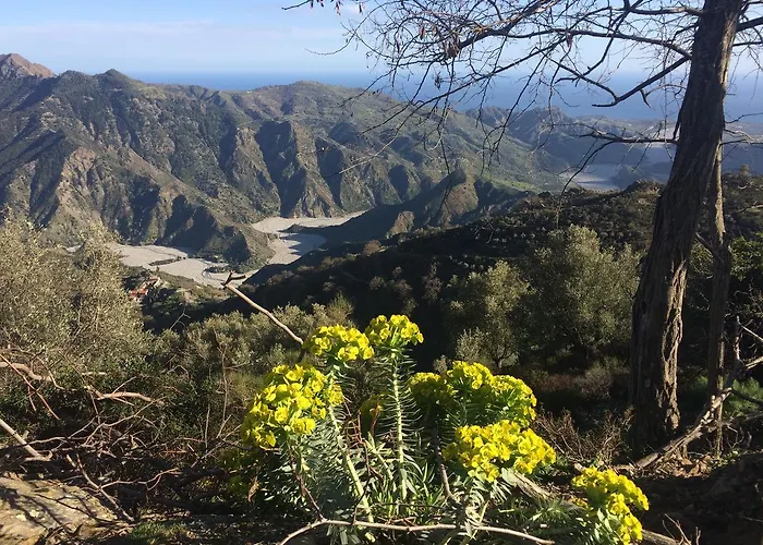 Il Girasole מלון בובה מרינה